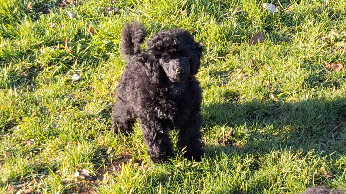 Acapulco est de nouveau disponible